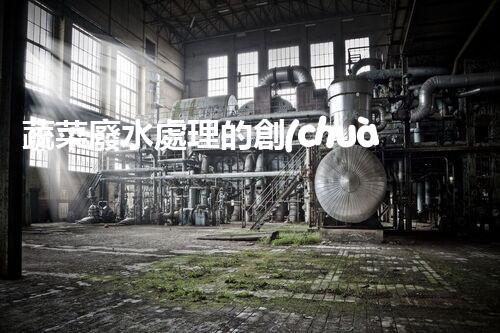 蔬菜廢水處理的創(chuàng)新之路？揭秘綠色科技的以后！